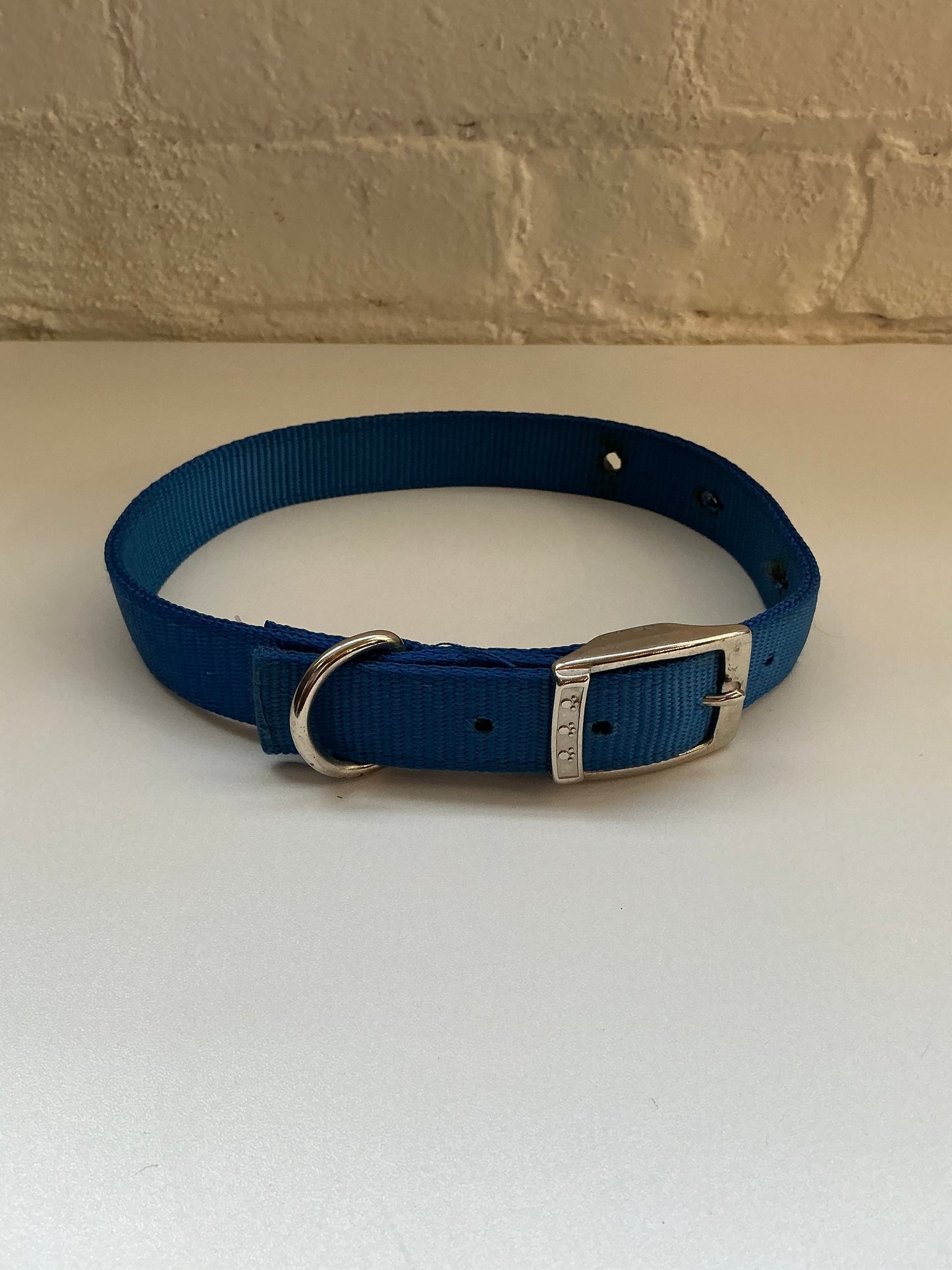 Blue Heavy Duty Nylon Large Adjustable Pet Collar