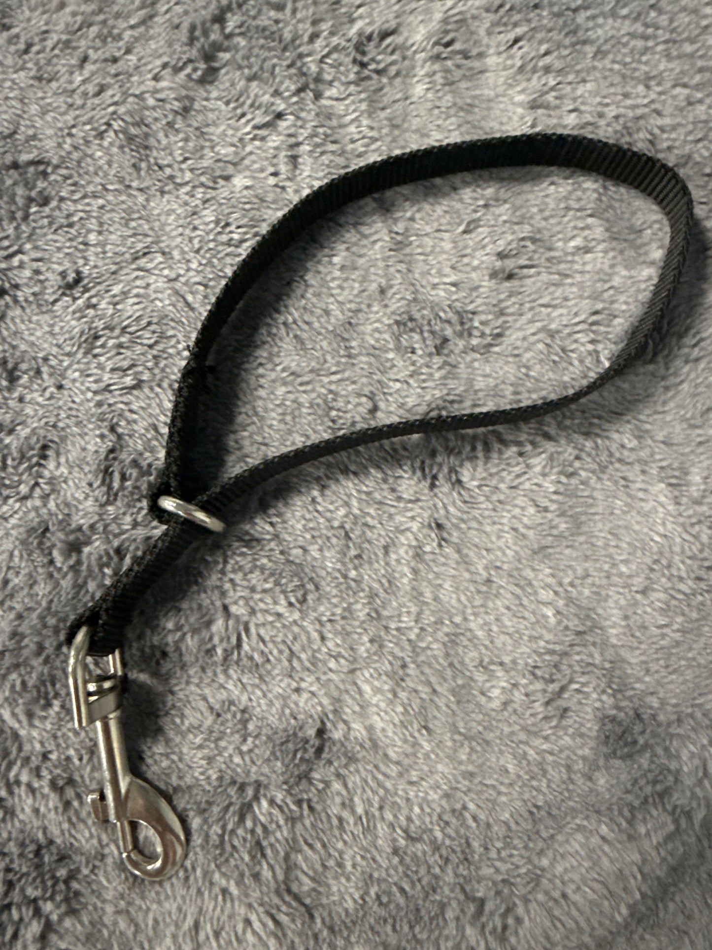Extra Small Nylon Slip Collar- Black