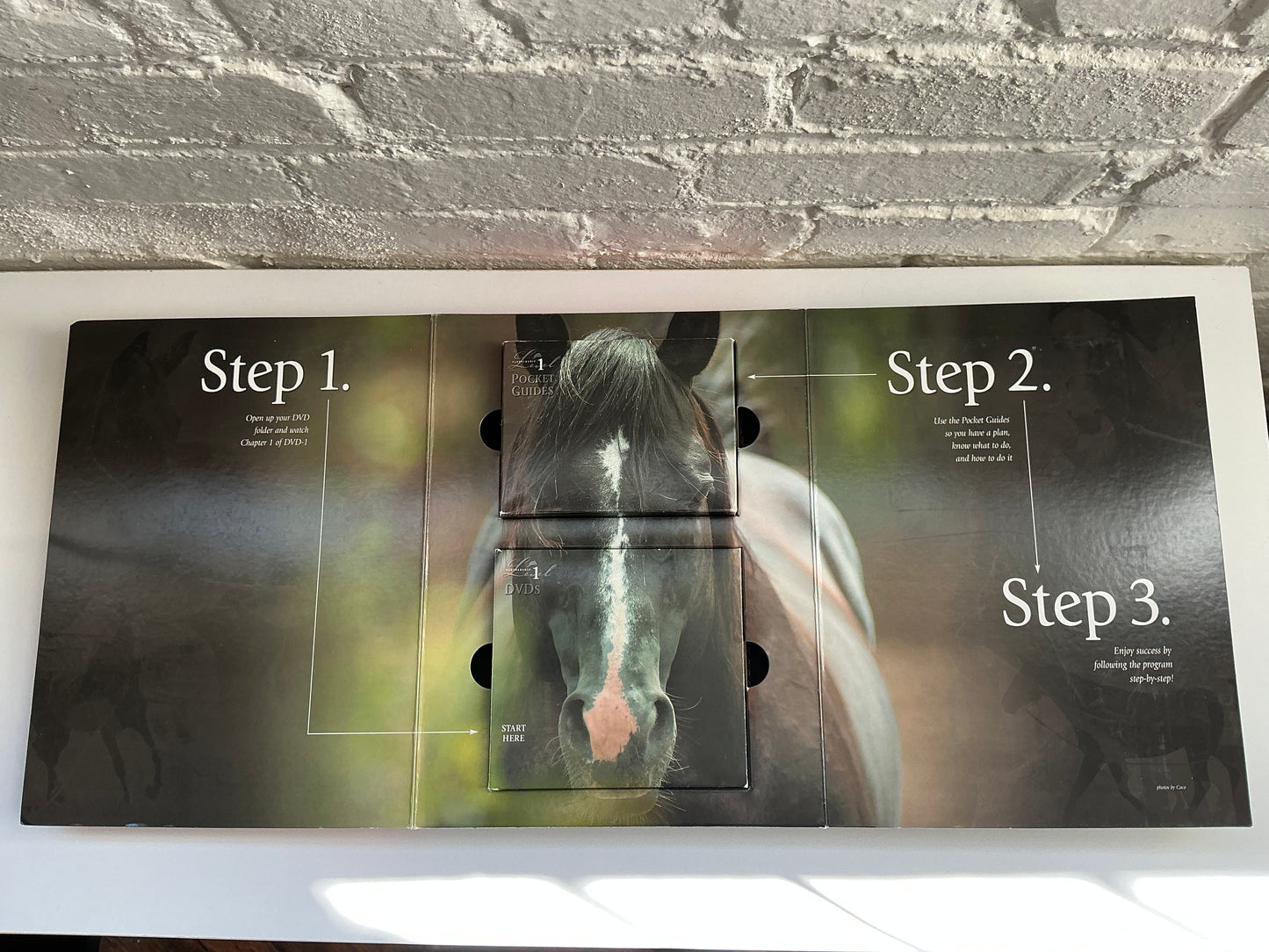 Parelli Natural Horsemanship Progam Level 1 Partnership