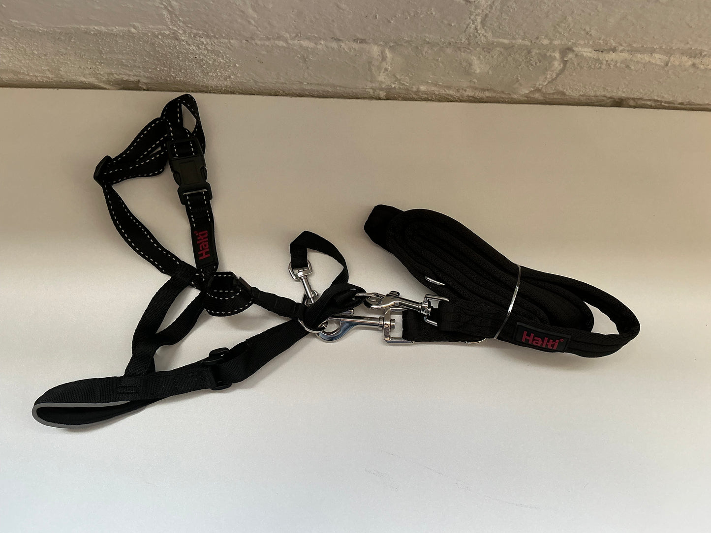 Halti Haler + Leash Combo Size Large