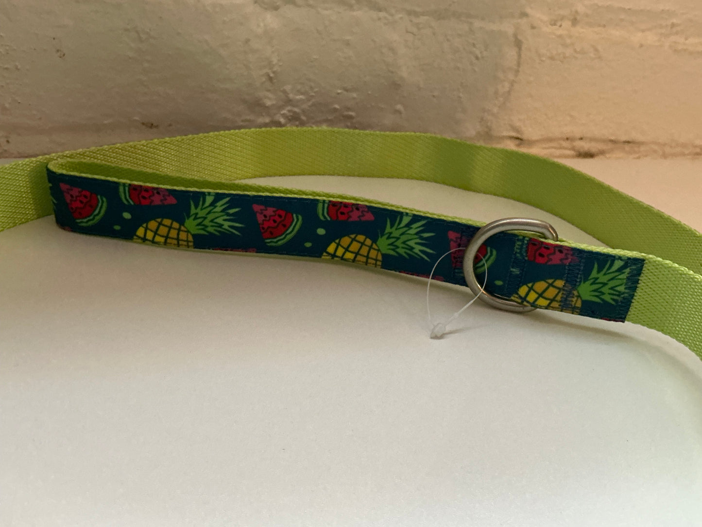 Top Paw Fruit 5’ Dog Leash