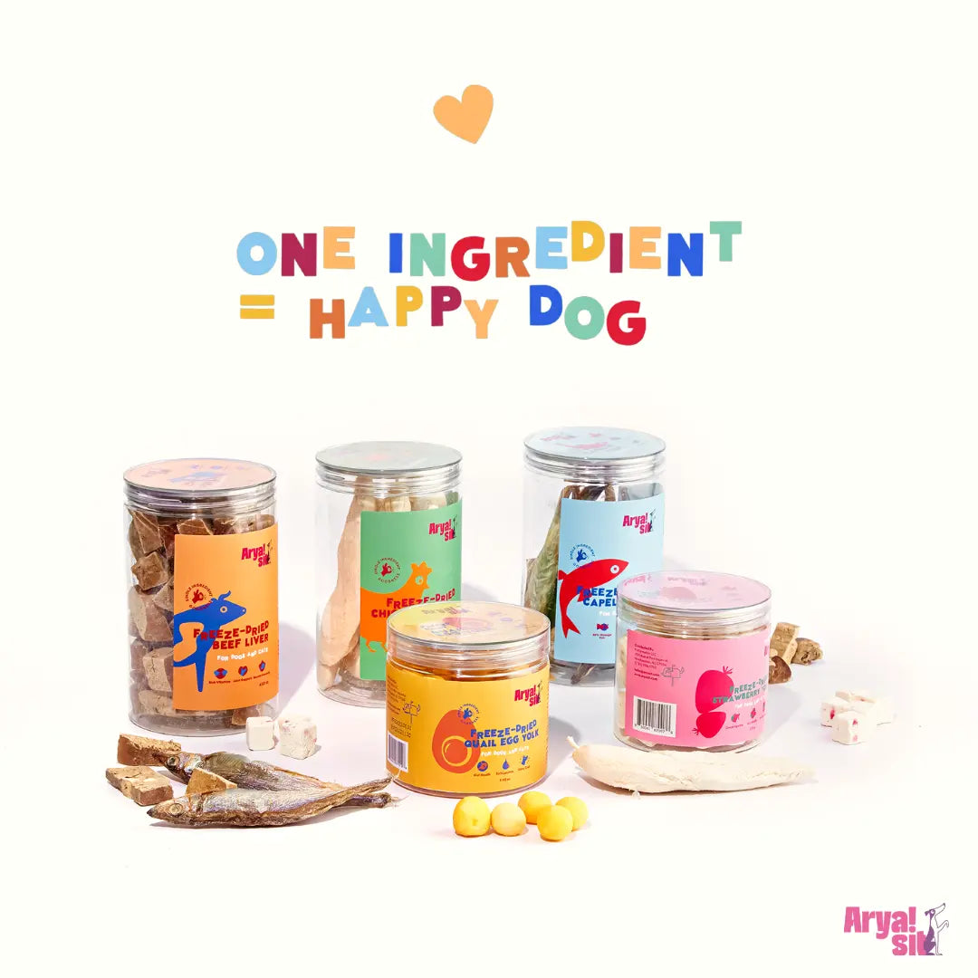 Freeze-Dried Pumpkin & Yogurt Treats Arya Sit
