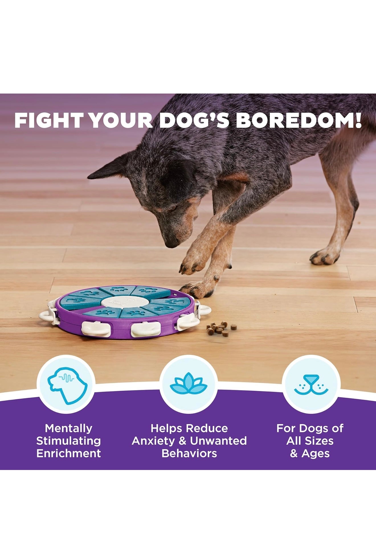Outward Hound by Nina Ottosson Dog Twister Treat Puzzle Enrichment Toy, Level 3 Advanced, Purple