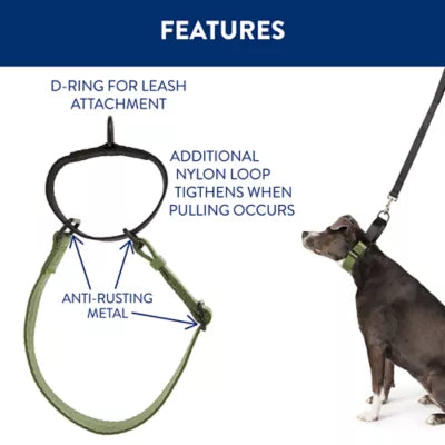 Top Paw Training Green and Black Martingale Collar- Large