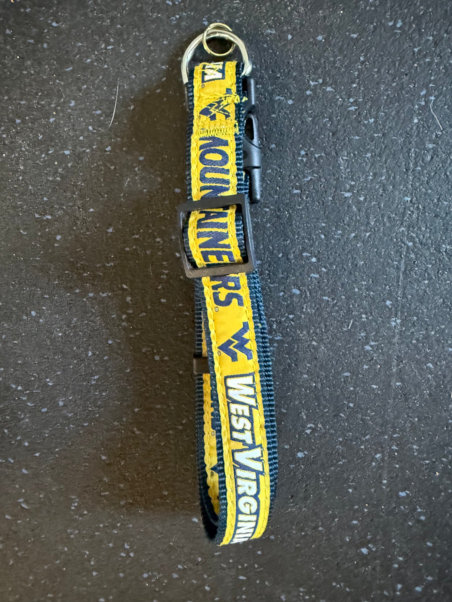 West Virginia Mountaineers NCAA Dog Collar, Large