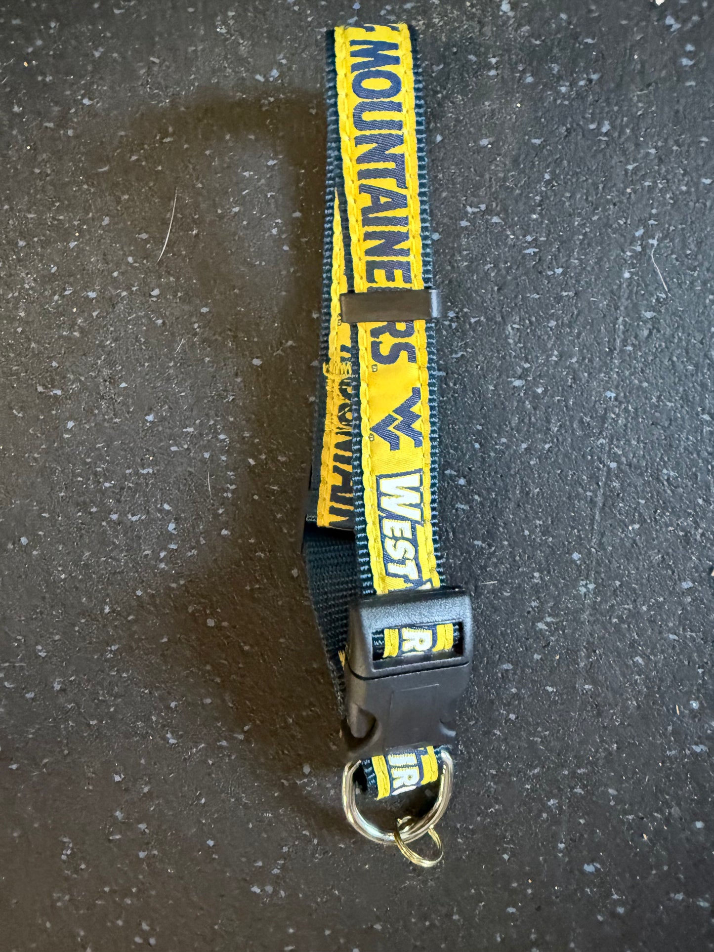 West Virginia Mountaineers NCAA Dog Collar, Large