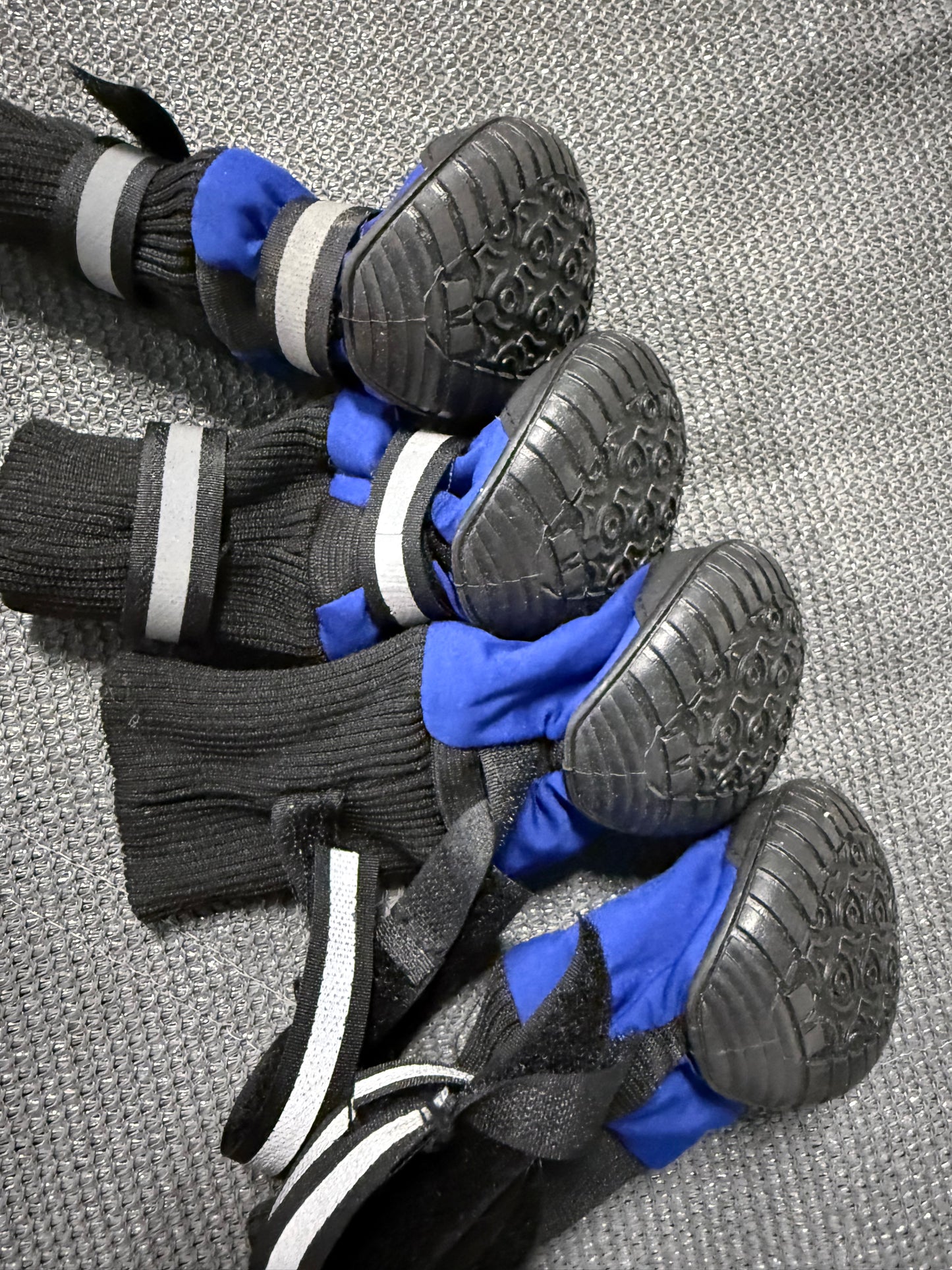 Black & Blue Dog Booties with Rubber Soles MD – Set of 4