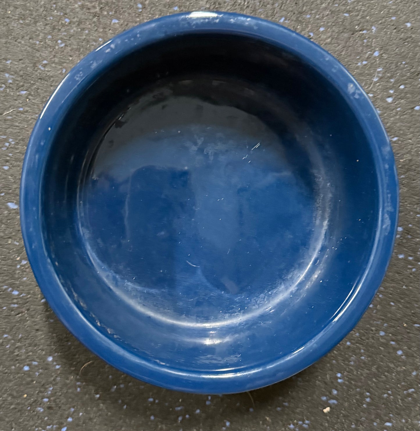 VINTAGE Top Paw "Hungry" Bowl- 2 Cup