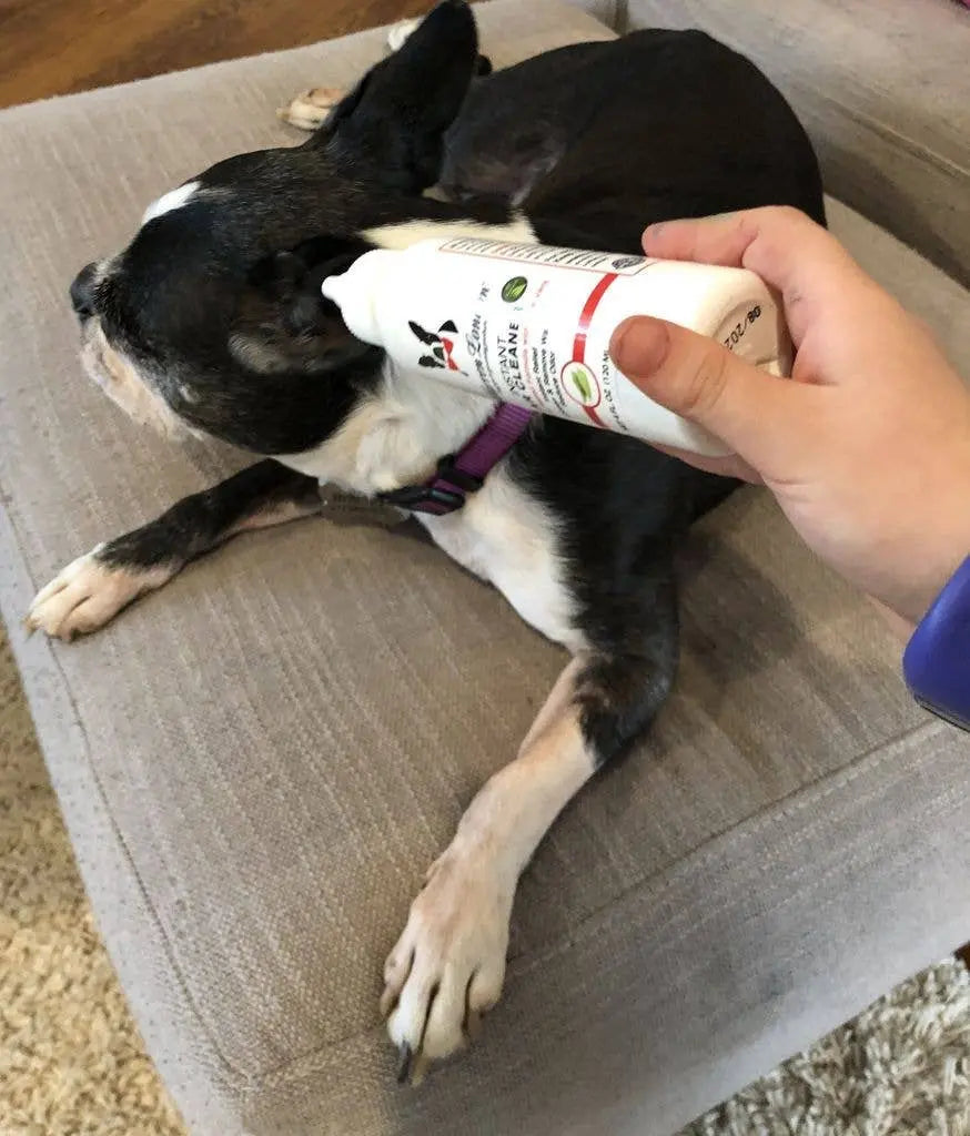 Instant Ear Cleaner Warren London Dog Products