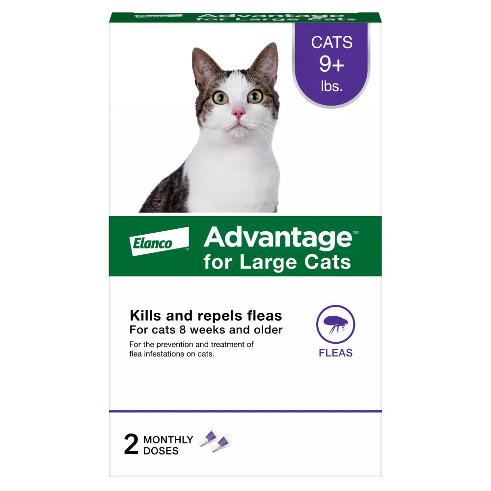 Advantage for Large Cats -Flea & Tick Topical 2 Months