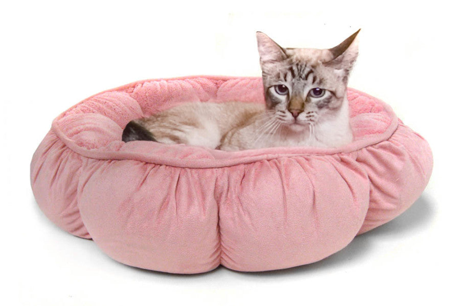 Aspen Puffy Round Pet Bed Assorted 1ea/18 in