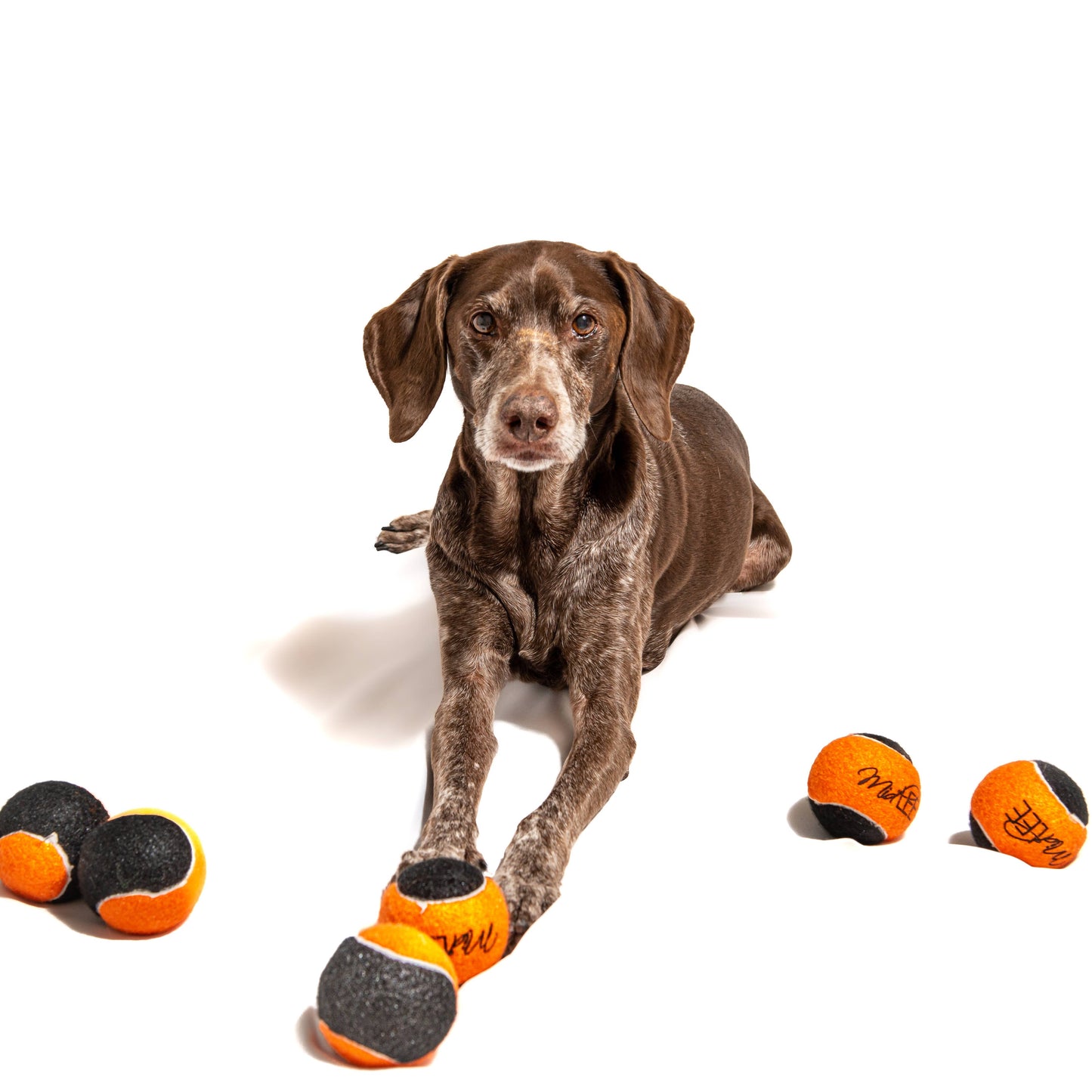 Midlee Orange/Black Regular Dog Halloween Tennis Balls