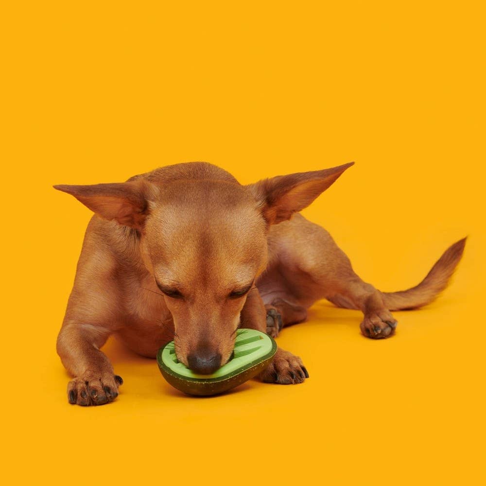 BARK Avocadoggo Super Chewer Dog Toy-Small