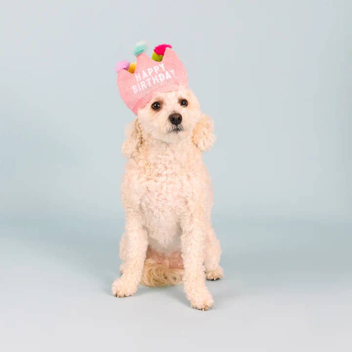 PetShop by Fringe Studio If The Crown Fits Plush Dog Toy