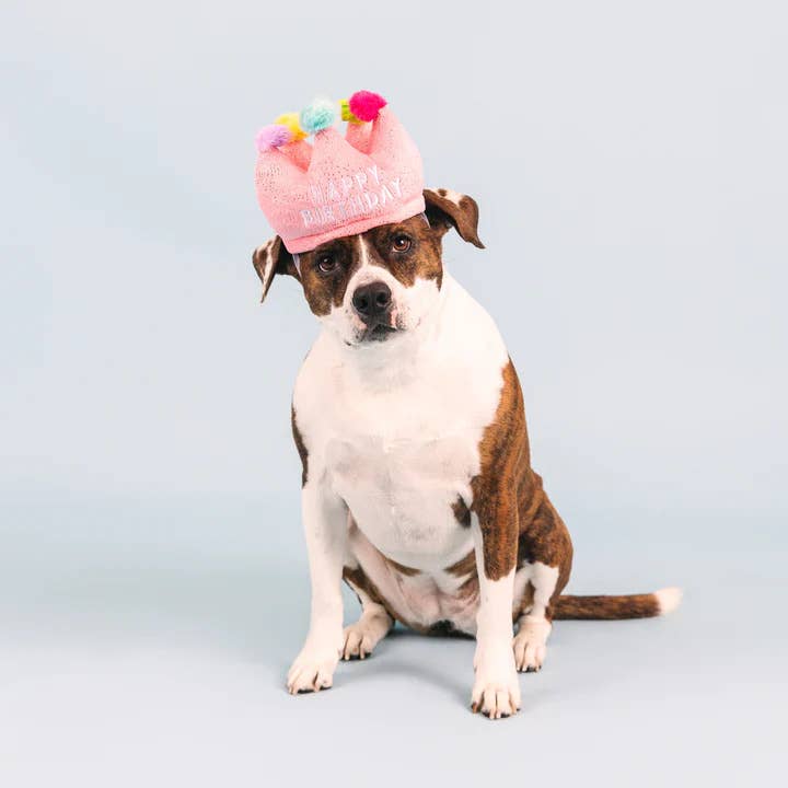 PetShop by Fringe Studio If The Crown Fits Plush Dog Toy