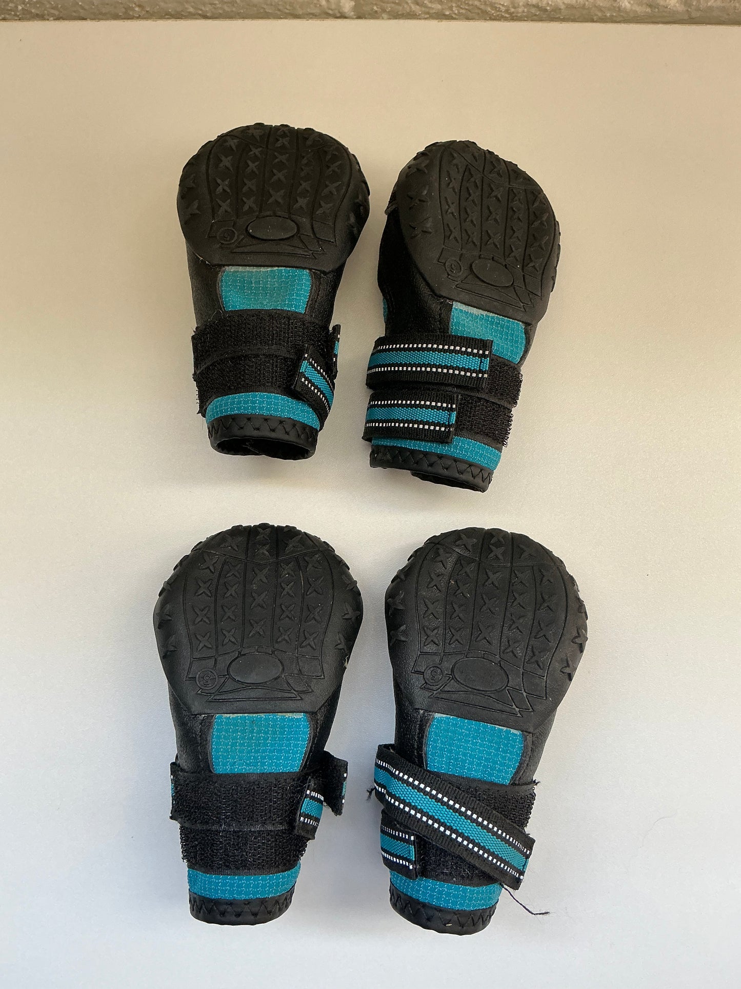 Blue Dog Boots Size 5