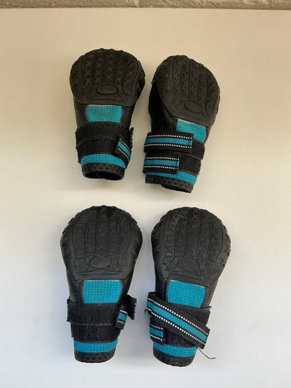 Blue Dog Boots Size 5