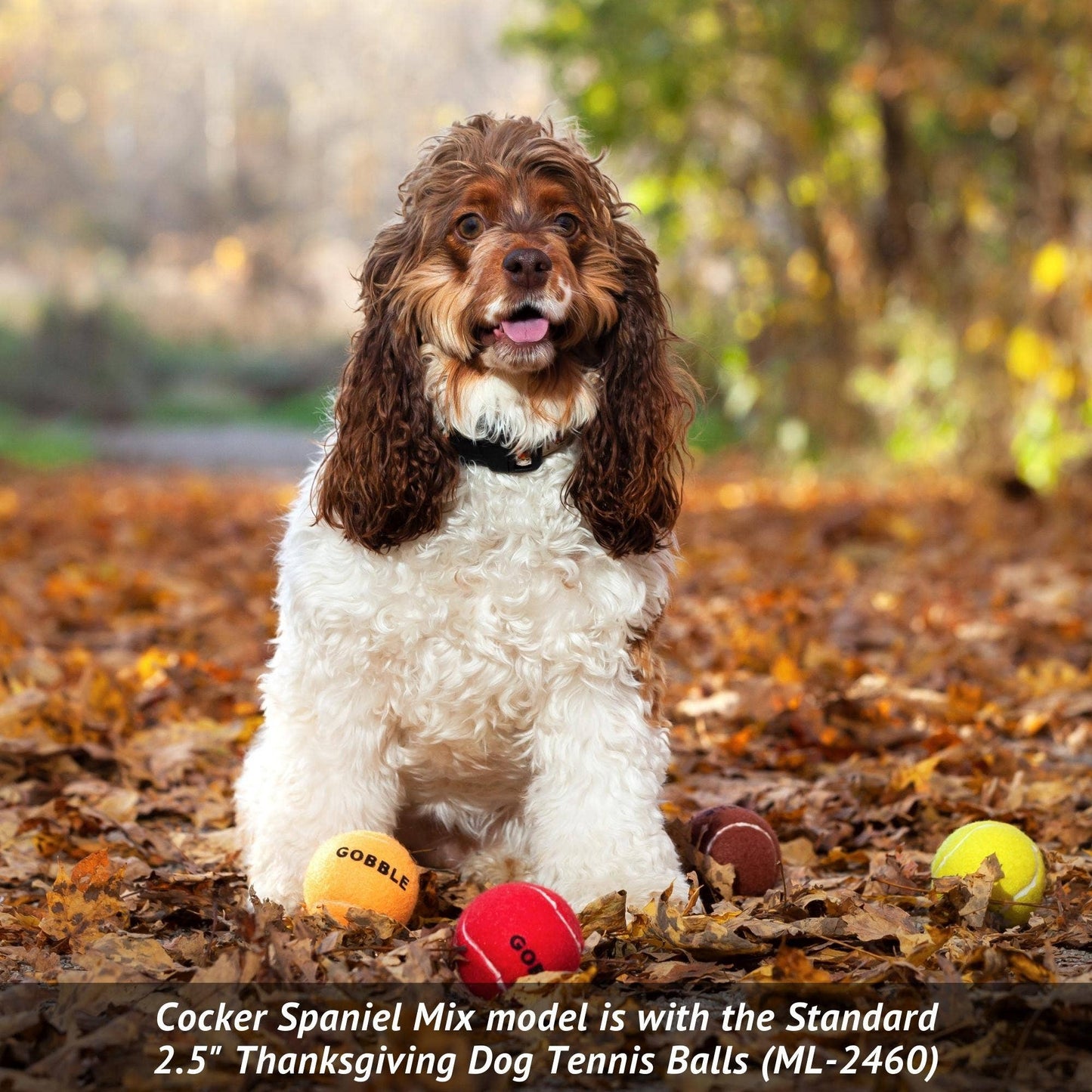 Thanksgiving Dog Tennis Balls Assorted Colors