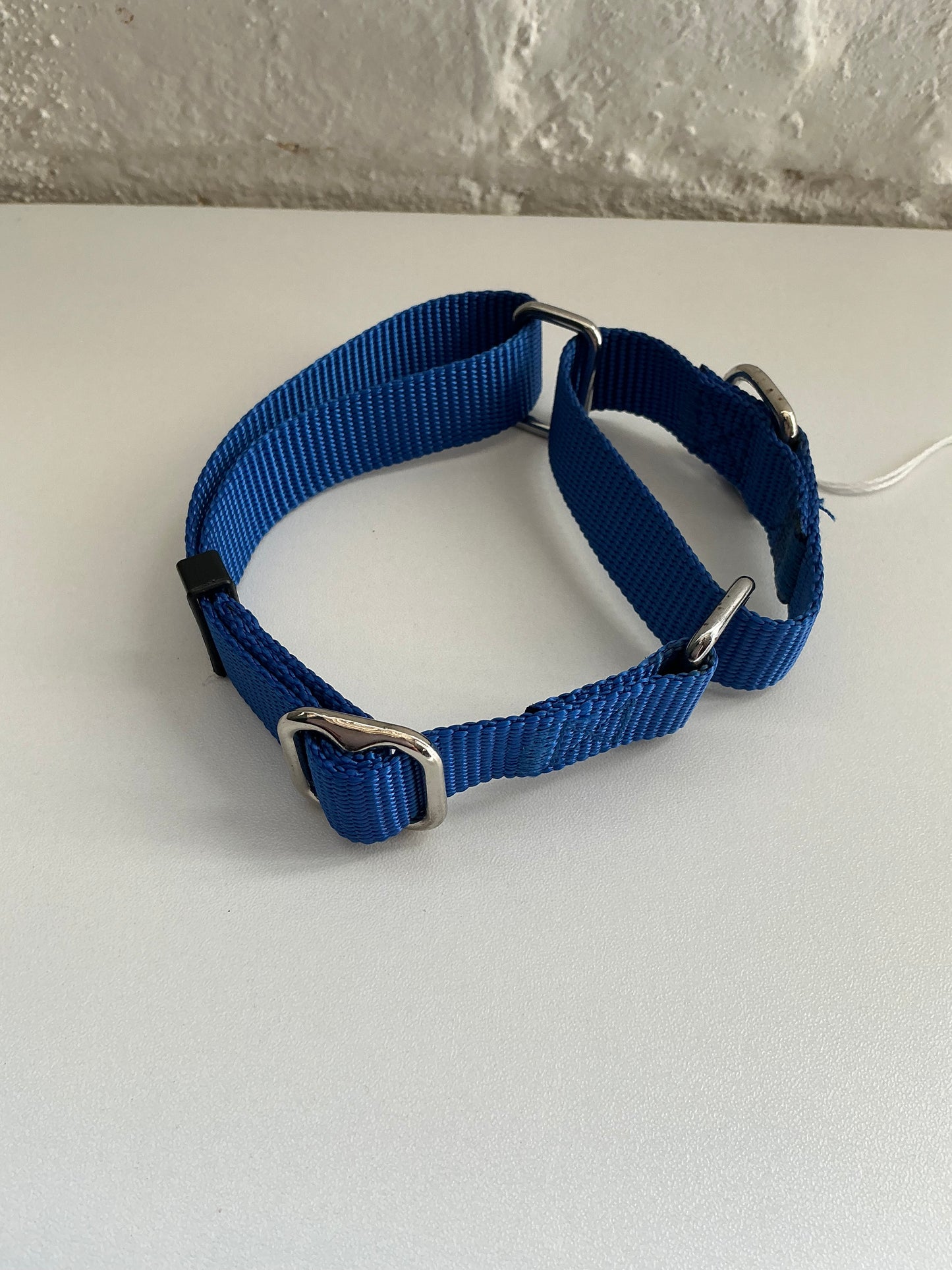 Blue Nylon Martingale Dog Collar - Medium