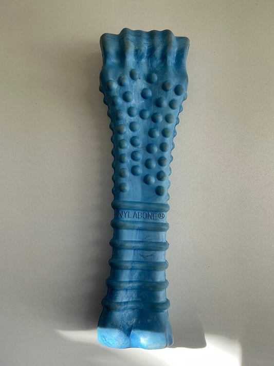 Nylabone Durable Dog Chew Toy