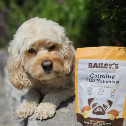 Bailey’s Calming CBD Chews Extra Strength