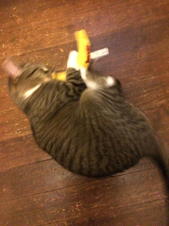 Yeowww! Banana Catnip Cat Toy Yellow