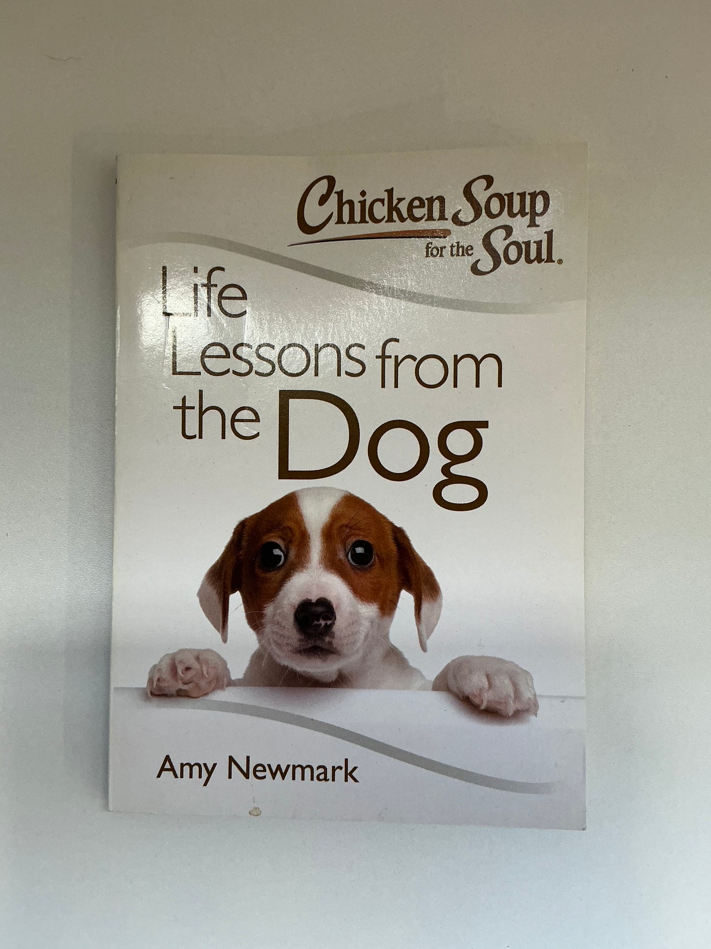“Life Lessons from the Dog” By Amy Newmark