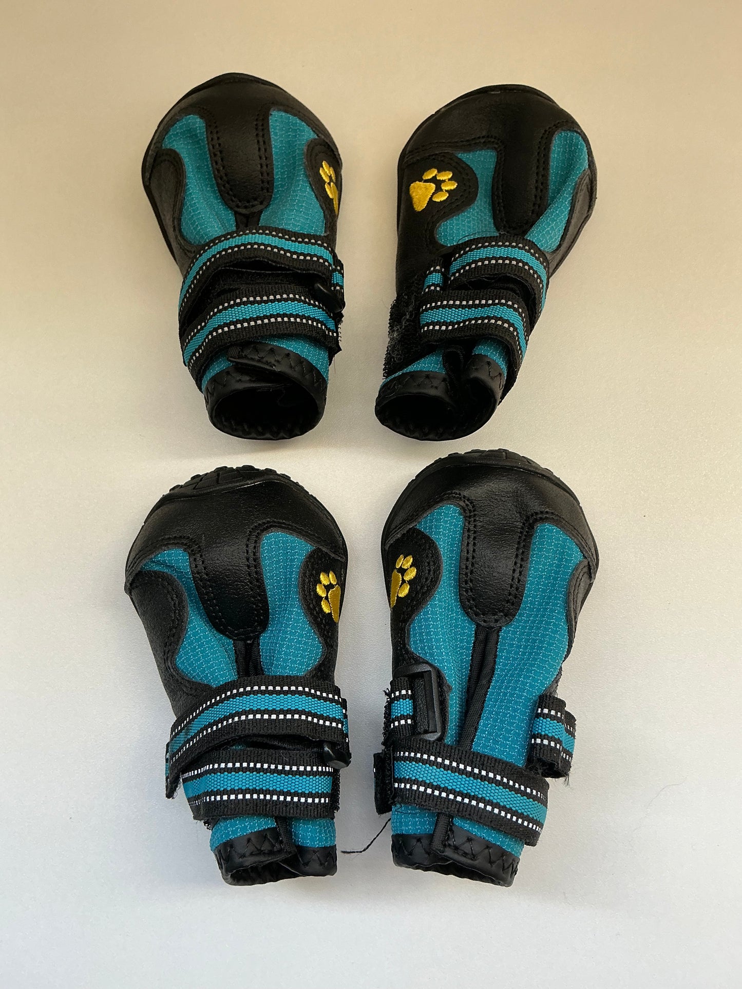 Blue Dog Boots Size 5