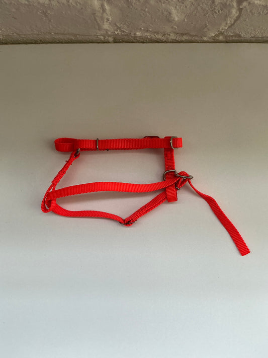 Bright Orange XS Adjustable Harness