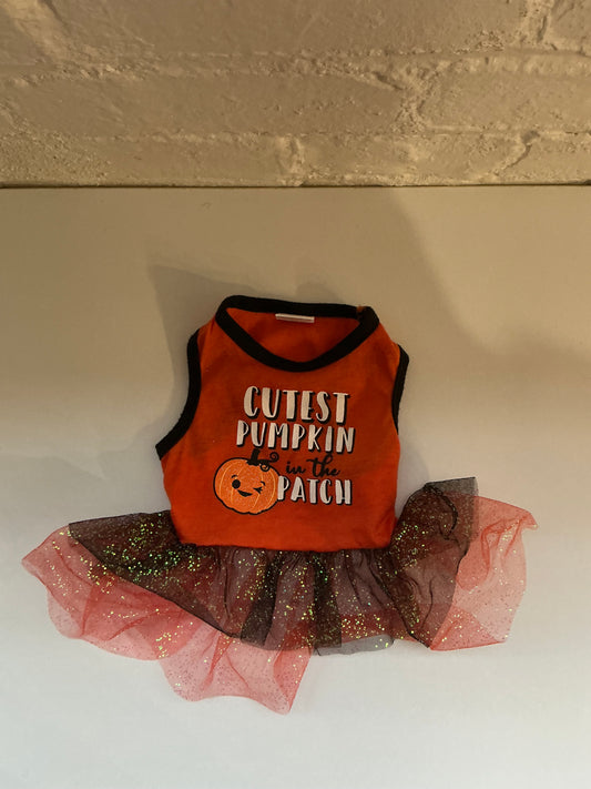 Cutest Pumpkin in the Patch Fall/Halloween Dress Size XS
