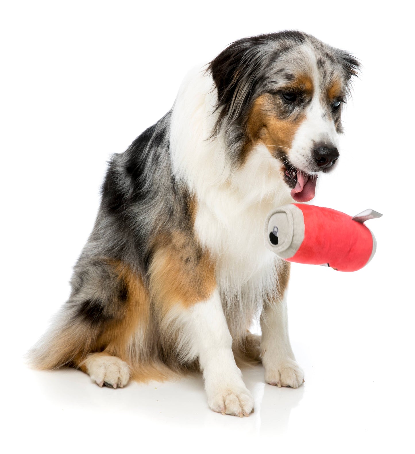 FuzzYard Dog Toy Can of Beer