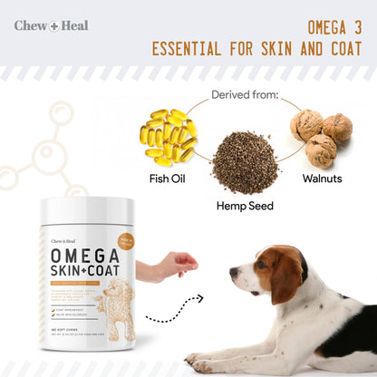 Omega Skin & Coat Supplement