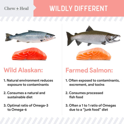 Single-Ingredient Wild Alaskan Salmon Oil