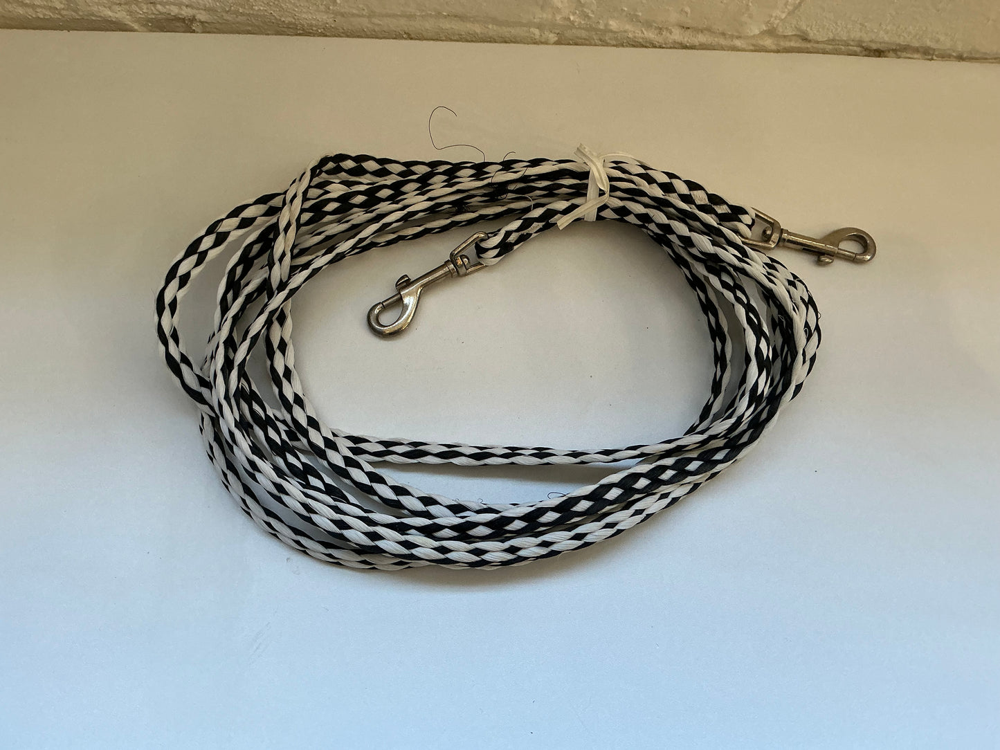 Braided Rope Tie out Cord