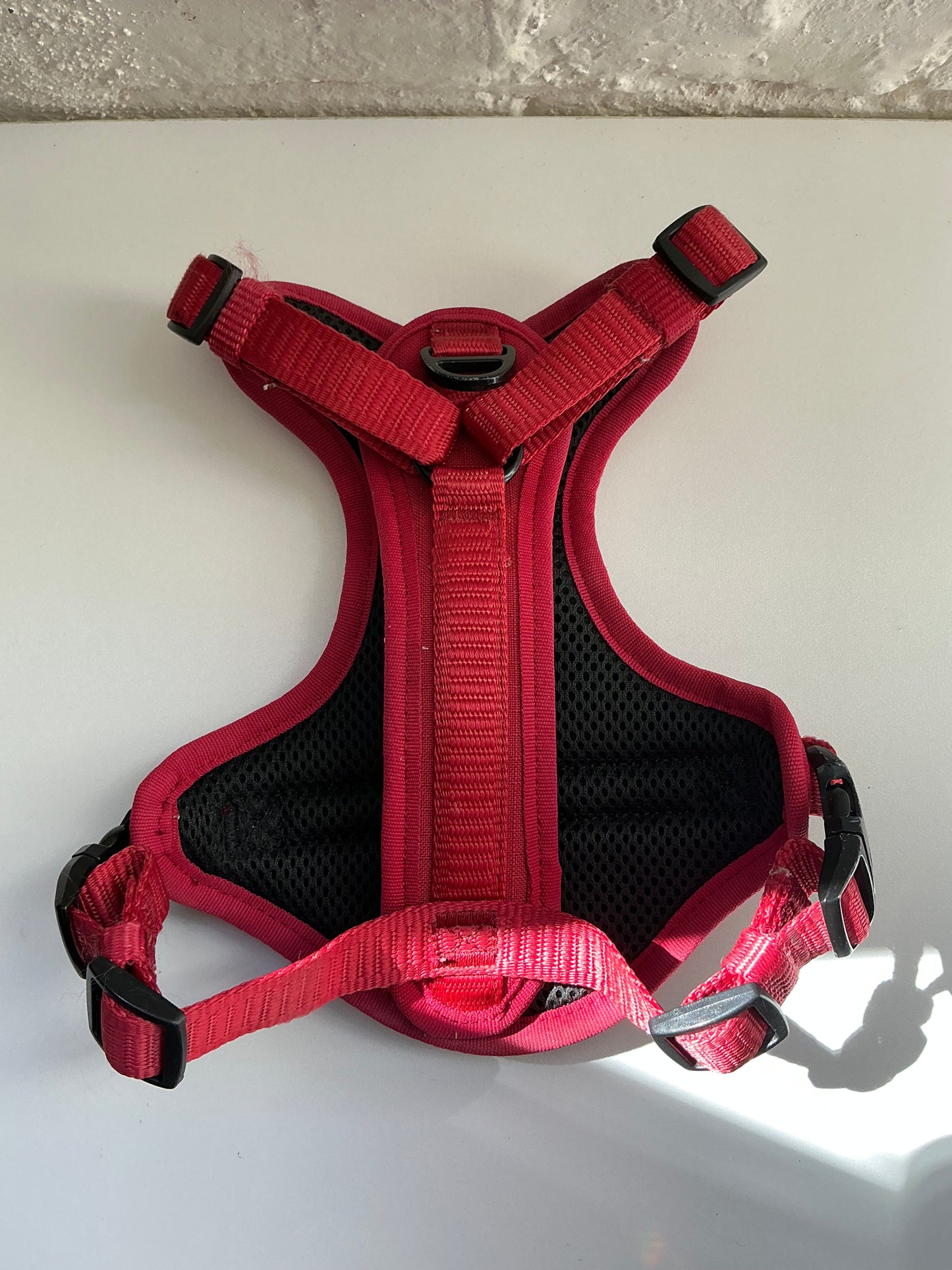 KONG Ultra Durable Waste Bag Harness (Small, Red)