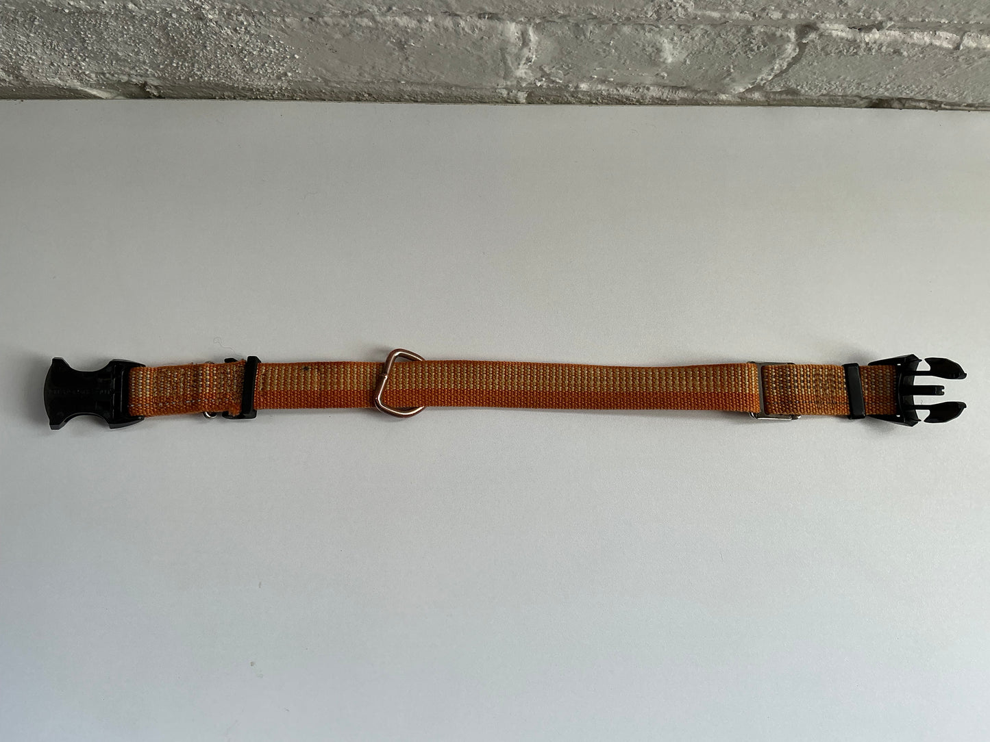Orange K9 Explorer 19” Adjustable Pet Collar