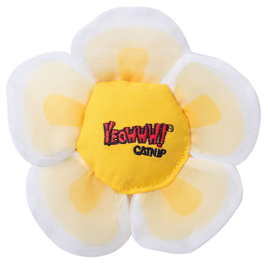 Yeowww! Cat Catnip Daisy Flower Tops White