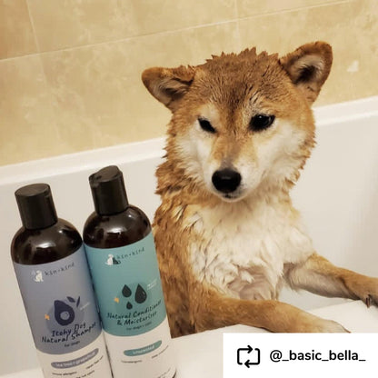 Kin+Kind Shampoo Itchy Dog 12oz.  Teatree/Grapefruit