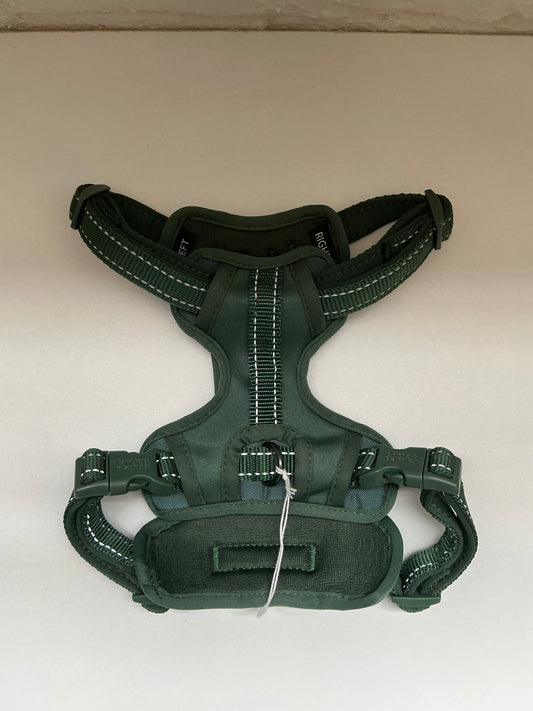 Boots and Barkley Green Dog Harness - Small