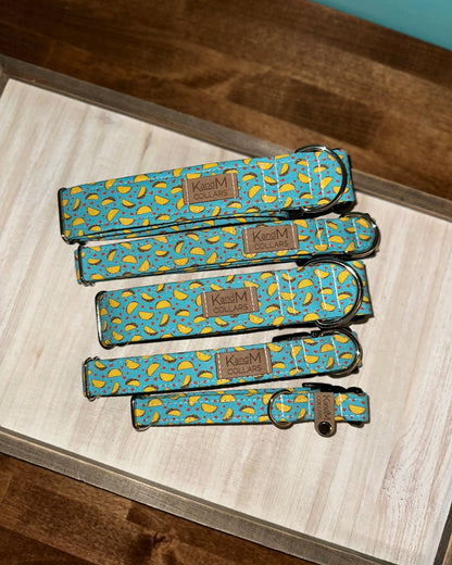 Mini Tacos Dog Collar, K and M Collar