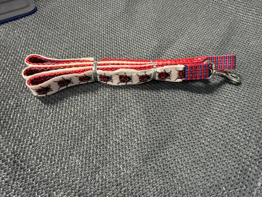 Handmade Ladybug Leash- 4’