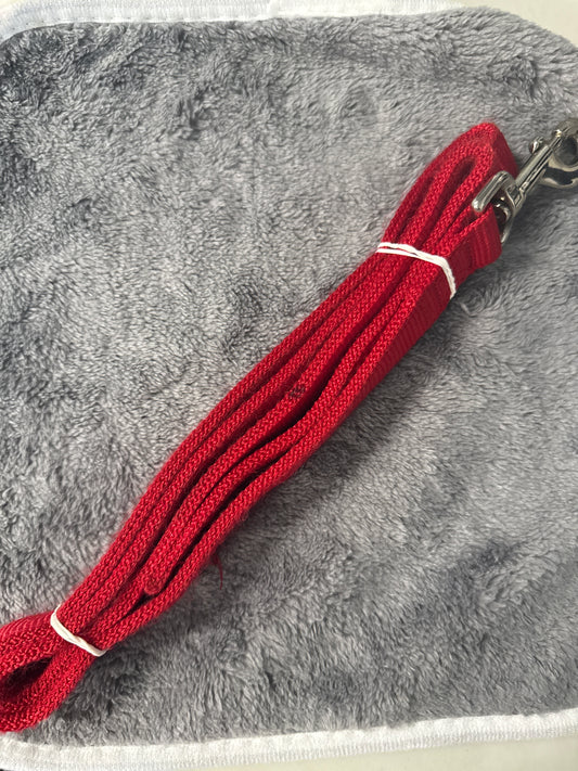 Heavy Duty Red Nylon Leash- 4’