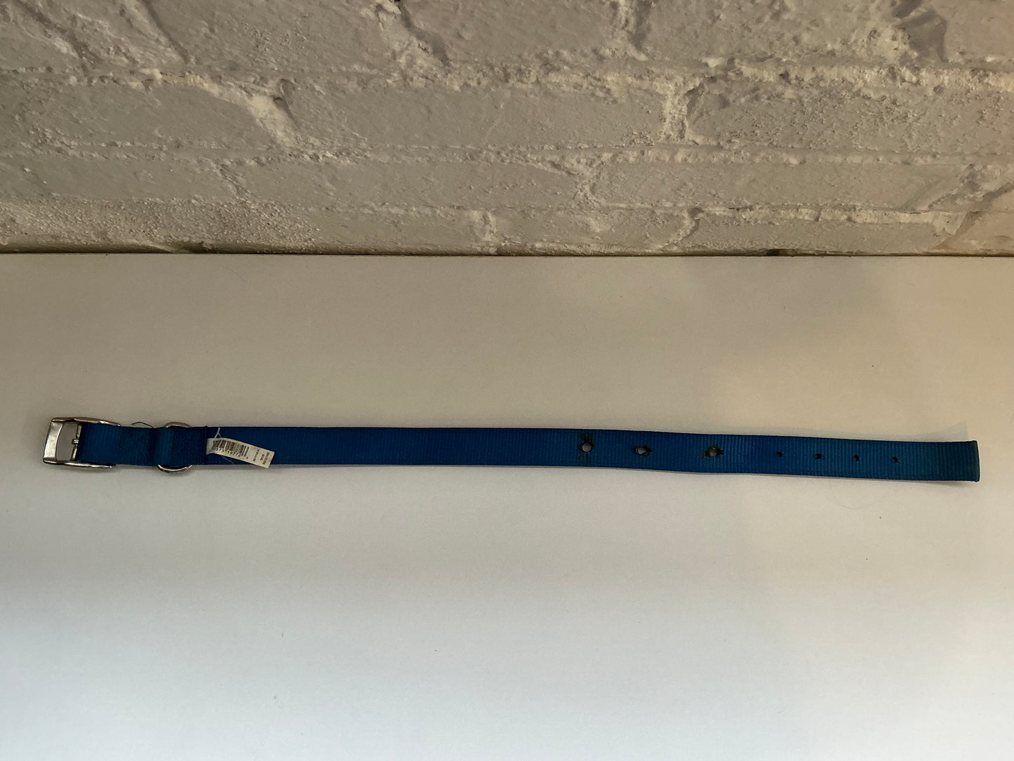 Blue Heavy Duty Nylon Large Adjustable Pet Collar