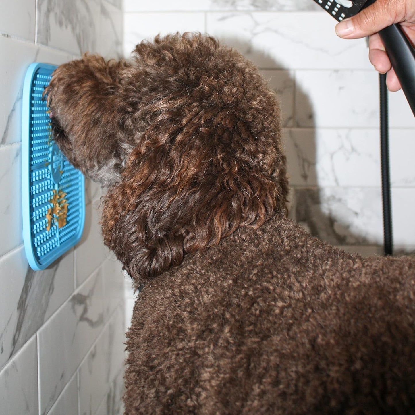 Lick Mat for Dogs & Cats – Fun-Filled Dog Distraction Pad with Suction Cups, Ideal for Treat Time, Grooming, and Dental Health