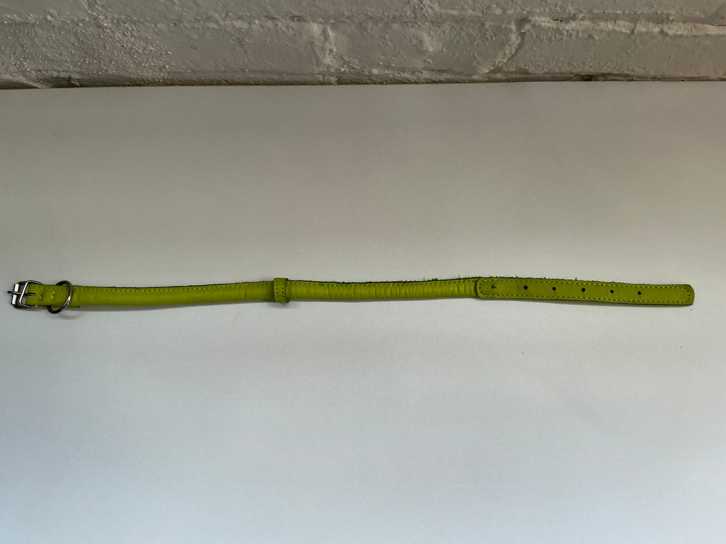CollarDirect Rolled Green Leather Collar 19.5”