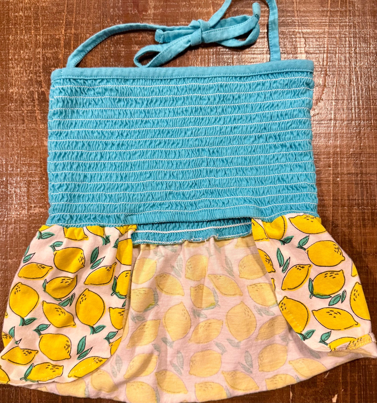 “Squeeze the Day” Lemon Dog Dress – Size L
