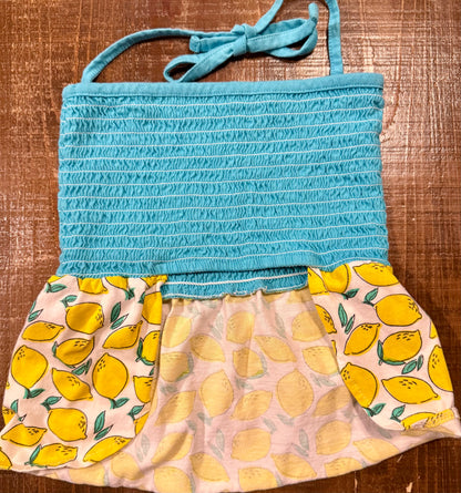 “Squeeze the Day” Lemon Dog Dress – Size L