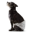 Amazon Basics Male Dog Diapers, 30 Count, Ultra Absorbent Disposable Wrap with Secure Fit, Leakproof and Comfortable Indiana Pet Supply
