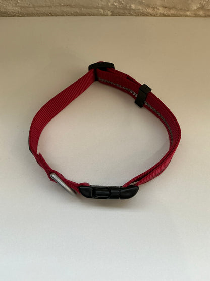 Terrain Dog Red Nylon Large Adjustable Pet Collar