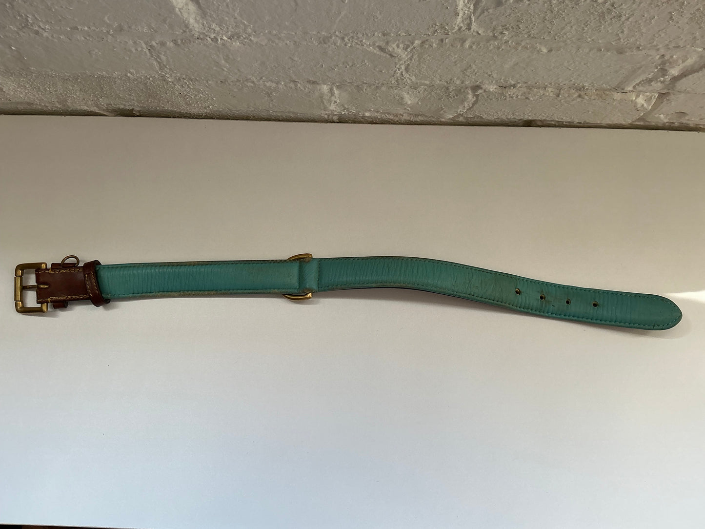 Leather Collar w/ Blue Size Large 17-21”